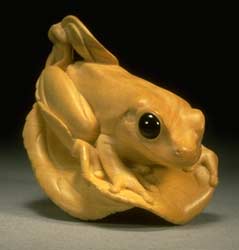 Tree Frog & Spring Apple