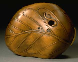 Tree Frog, Moth & Caterpillar