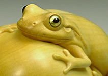 Frog, Apple, Leaf & Apple Maggot Fly: Boxwood