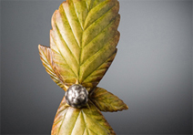 Black Raspberry Brooch